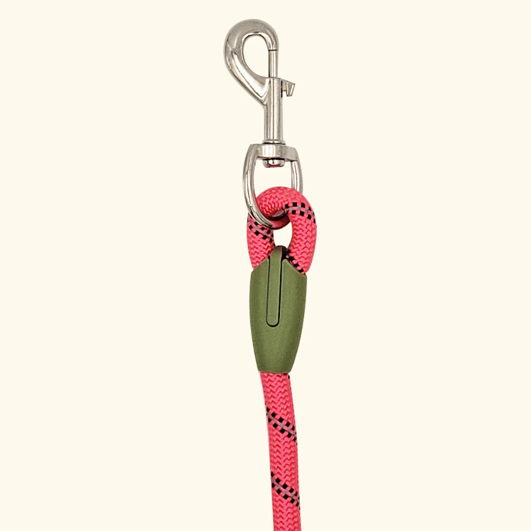 Reflective hands-free dog leash with bungee rope for running, ideal for large dogs; shown wrapped around waist.