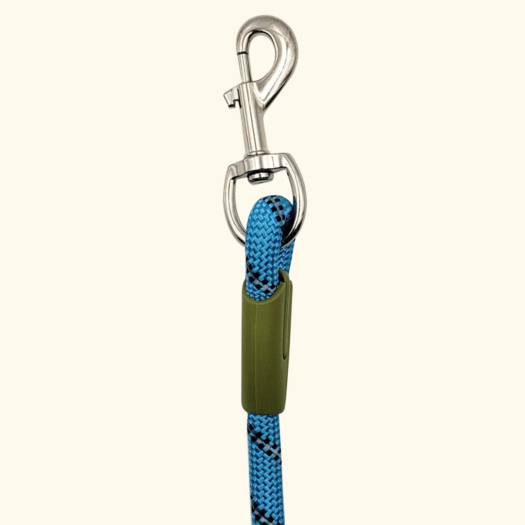 Reflective hands-free dog leash with bungee rope for running, ideal for large dogs; shown wrapped around waist.