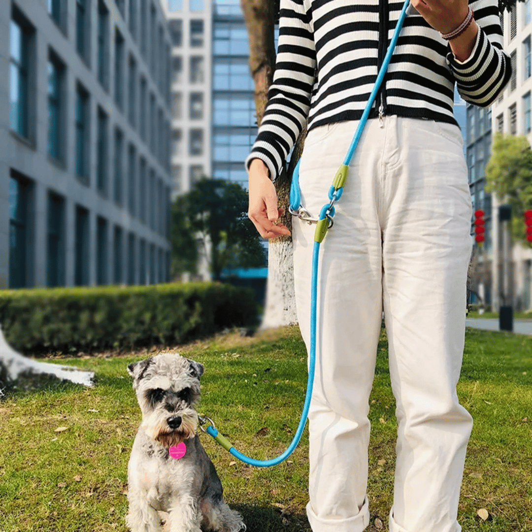 Reflective hands-free dog leash with bungee rope for running, ideal for large dogs; shown wrapped around waist.