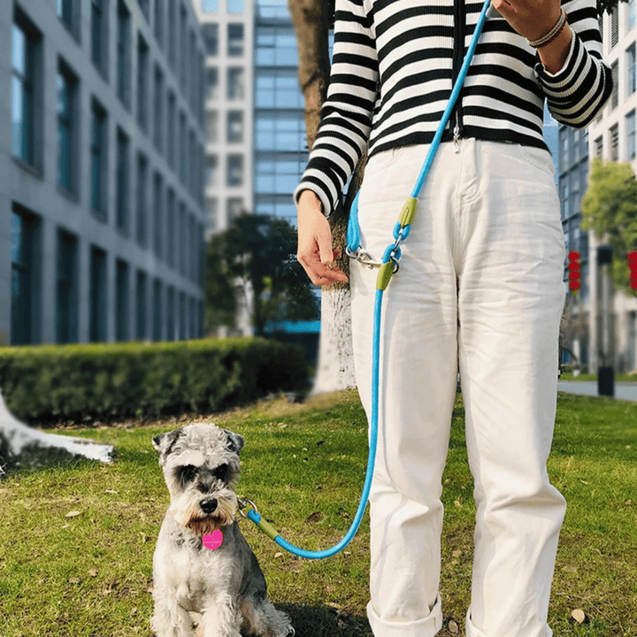 Reflective hands-free dog leash with bungee rope for running, ideal for large dogs; shown wrapped around waist.
