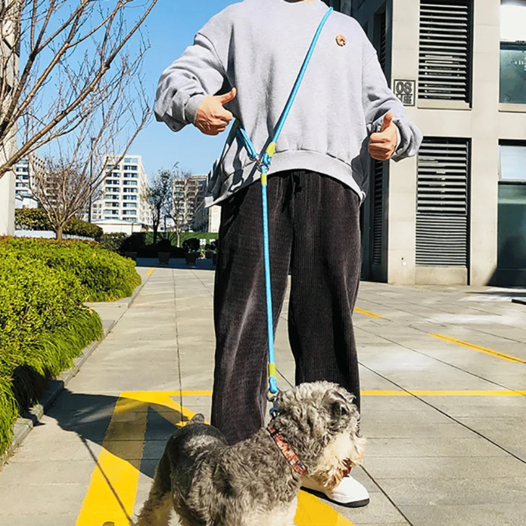 Reflective hands-free dog leash with bungee rope for running, ideal for large dogs; shown wrapped around waist.