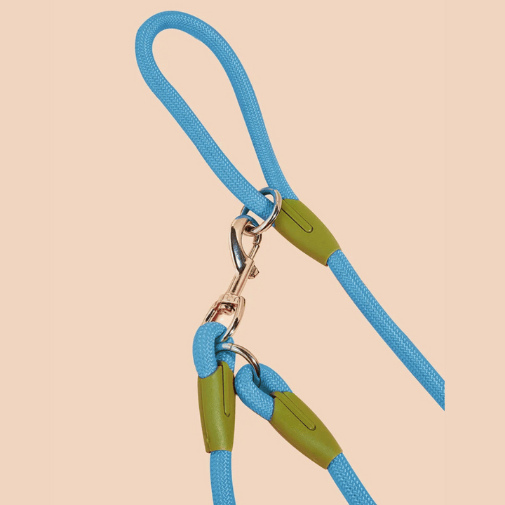 Reflective hands-free dog leash with bungee rope for running, ideal for large dogs; shown wrapped around waist.
