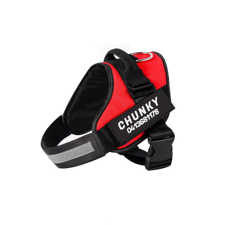 Reflective no-pull dog harness with padded chest, personalised tag area, and secure buckle, enhancing safety and control on w
