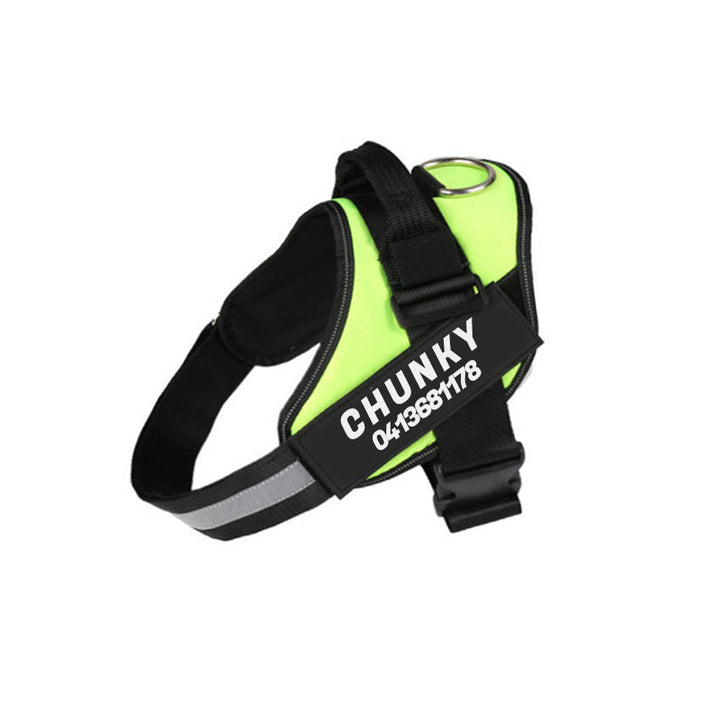 Reflective no-pull dog harness with padded chest, personalised tag area, and secure buckle, enhancing safety and control on w