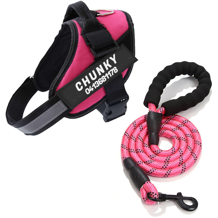 Reflective no-pull dog harness with padded chest, personalised tag area, and secure buckle, enhancing safety and control on w