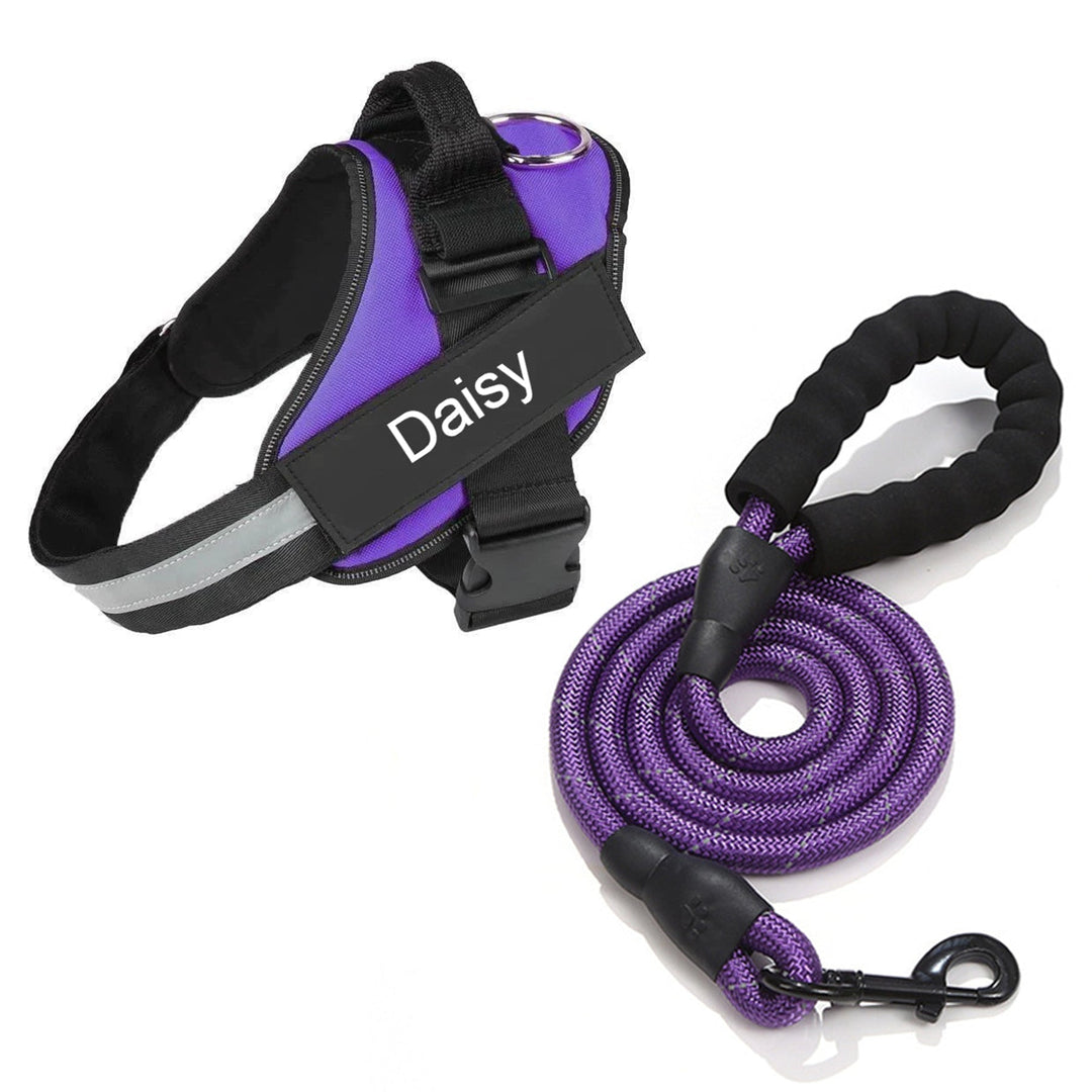 Reflective no-pull dog harness with padded chest, personalised tag area, and secure buckle, enhancing safety and control on w