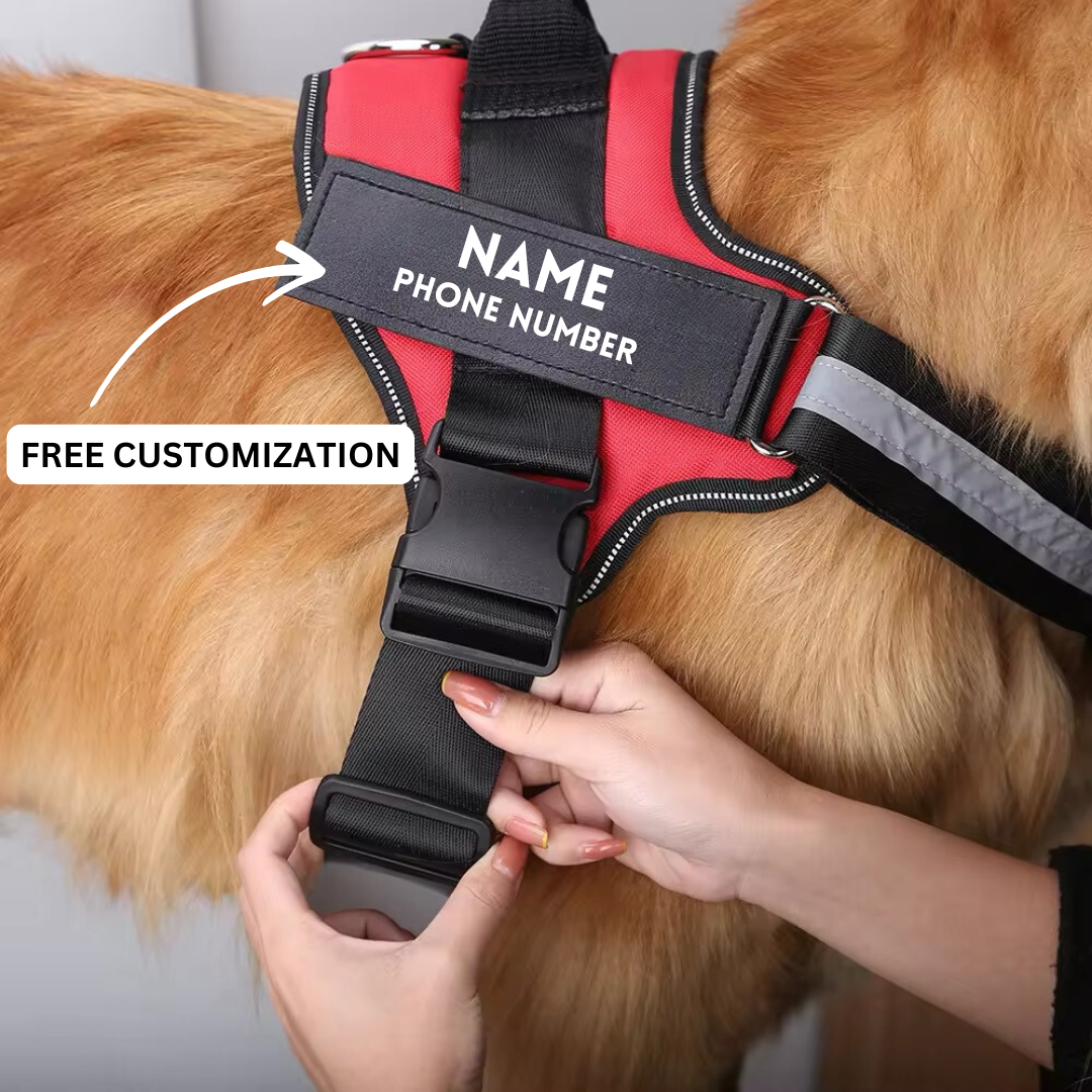 Reflective no-pull dog harness with padded chest, personalised tag area, and secure buckle, enhancing safety and control on w