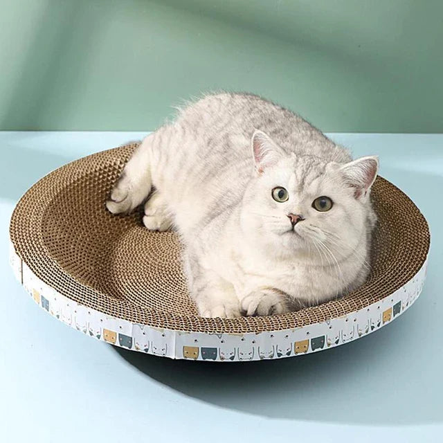 Round cat scratcher and bed with eco-friendly cardboard, featuring multi-level hideouts for playful and relaxing feline momen