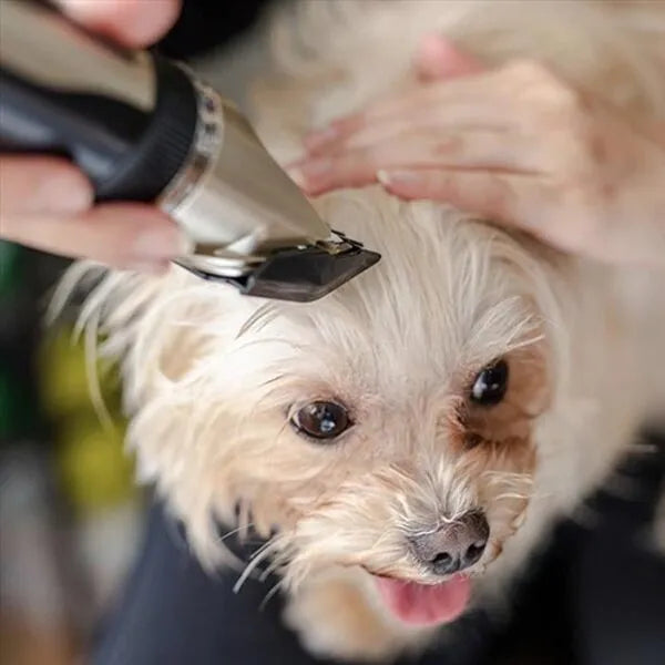 "Silent dog grooming trimmer set with adjustable combs; quiet ergonomic design, multiple attachments for all fur types."