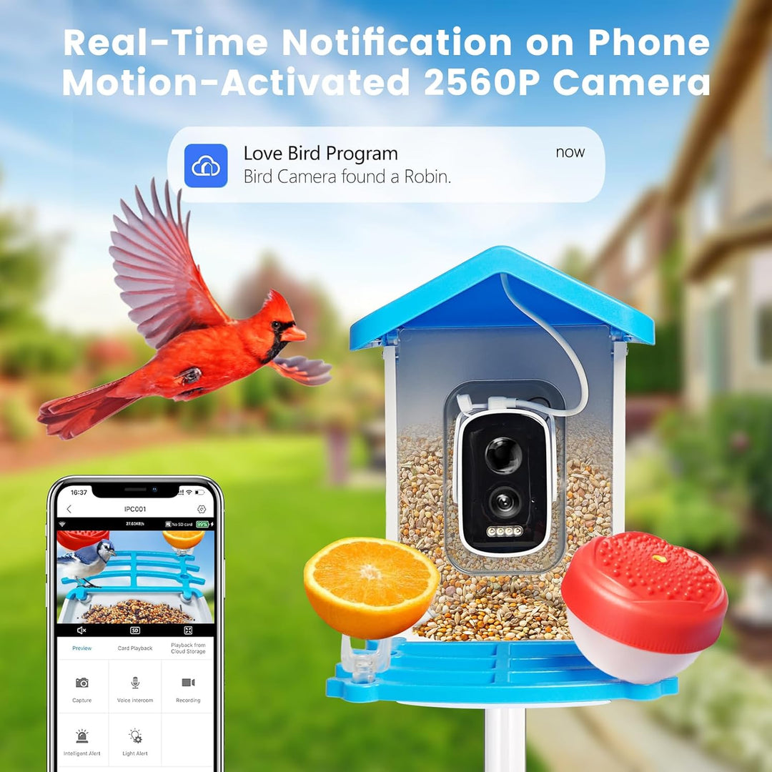 Smart bird feeder with HD camera, night vision, solar power; perfect for nature lovers, birdwatching in any weather.