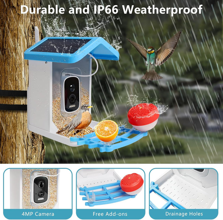 Smart bird feeder with HD camera, night vision, solar power; perfect for nature lovers, birdwatching in any weather.