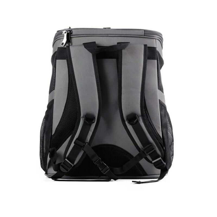 "Spacious cat backpack with bubble window, ventilation holes, and durable design for comfortable pet travel."