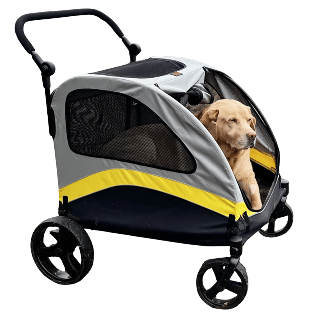 Spacious collapsible 4-wheeler dog stroller for large breeds, featuring breathable mesh and durable all-terrain wheels.