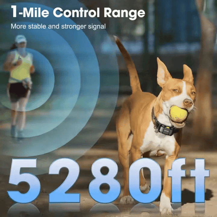 "Sturdy waterproof large dog training collar with 1 mile remote range, ideal for big breeds, shown in outdoor setting"