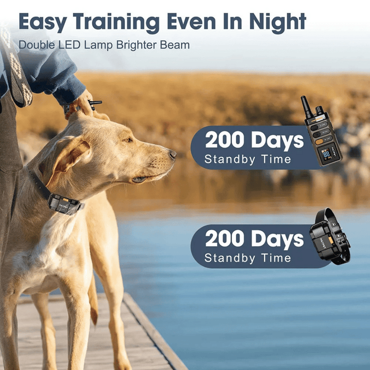 "Sturdy waterproof large dog training collar with 1 mile remote range, ideal for big breeds, shown in outdoor setting"