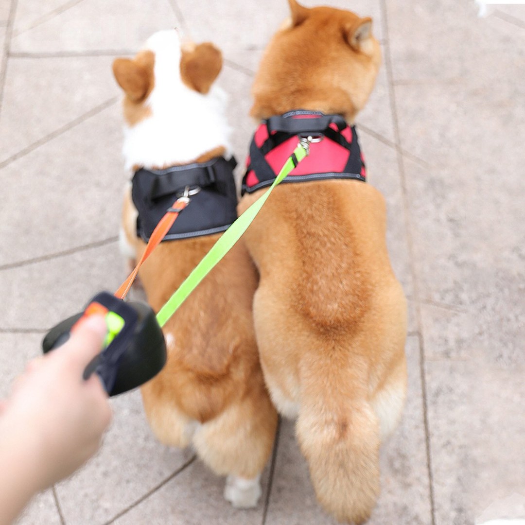 "Tangle-free dual dog leash with LED light for safe walks, featuring 360° swivel, ergonomic handle, and color-coded leads."