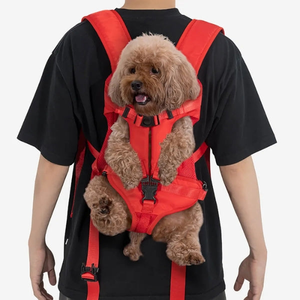 "Versatile dog carrier backpack for hiking, shown in green. Secure multi-buckle design keeps pets safe and comfortable outdoo