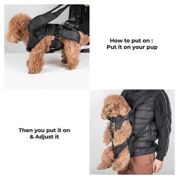 "Versatile dog carrier backpack for hiking, shown in green. Secure multi-buckle design keeps pets safe and comfortable outdoo