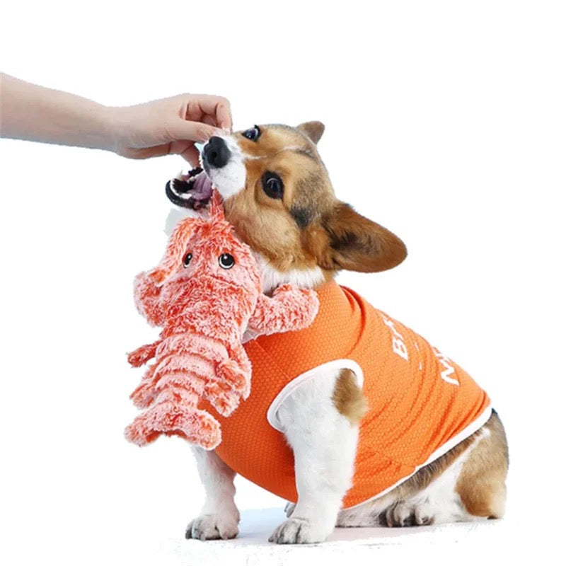Vividly designed interactive lobster dog toy, bright colors, engages pets with safe, durable material for exciting playtime.