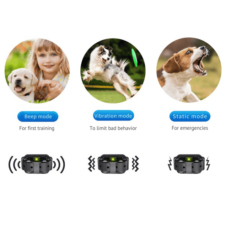 "Waterproof dog training collar with remote, adjustable fit, black color, suitable for pets, features buttons for control."
