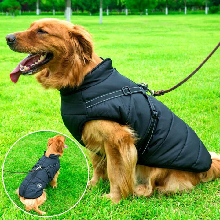 Waterproof dog winter jacket with harness, sherpa lining, reflective stripes, and windproof design for warmth and safety.