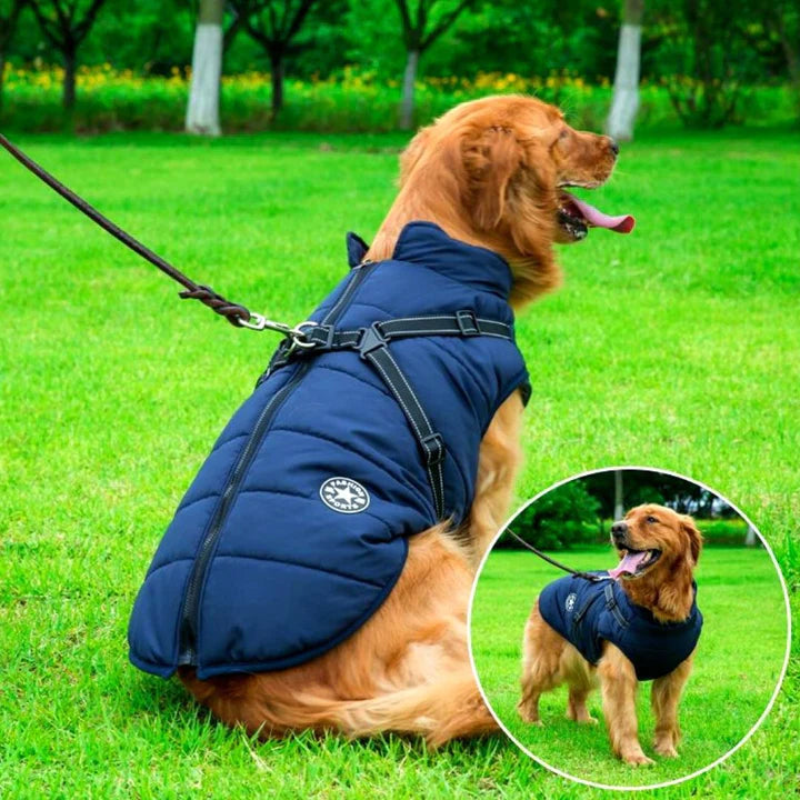 Waterproof dog winter jacket with harness, sherpa lining, reflective stripes, and windproof design for warmth and safety.