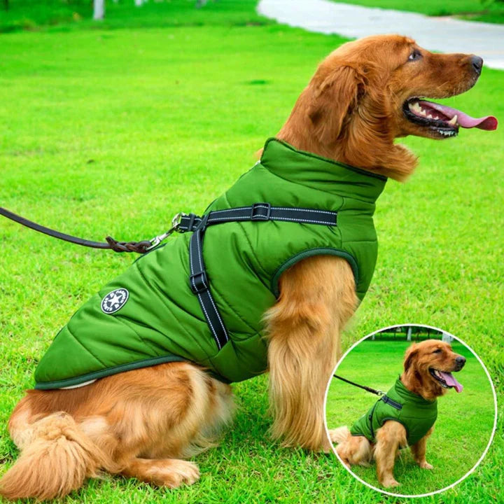 Waterproof dog winter jacket with harness, sherpa lining, reflective stripes, and windproof design for warmth and safety.