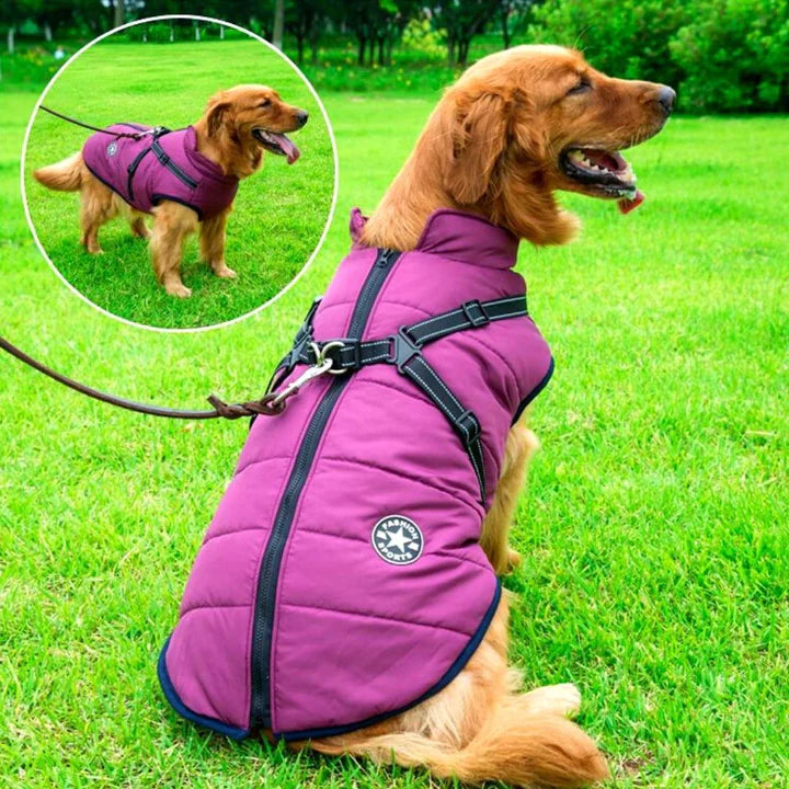 Waterproof dog winter jacket with harness, sherpa lining, reflective stripes, and windproof design for warmth and safety.