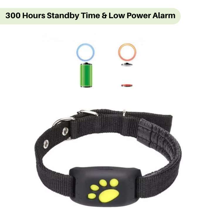 Waterproof GPS cat tracker with real-time location, white, attached to a collar, ideal for pet safety and comfort.