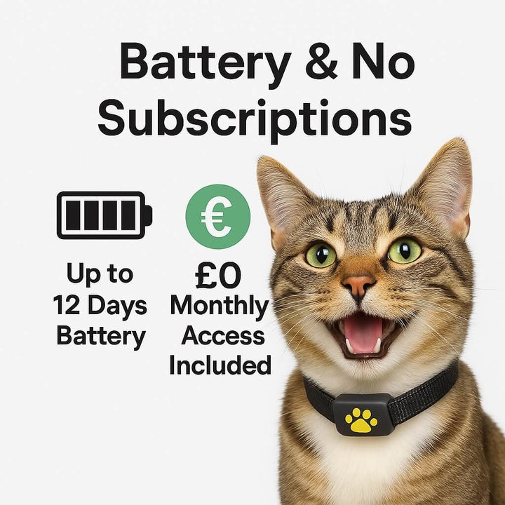 Waterproof GPS cat tracker with real-time location, white, attached to a collar, ideal for pet safety and comfort.