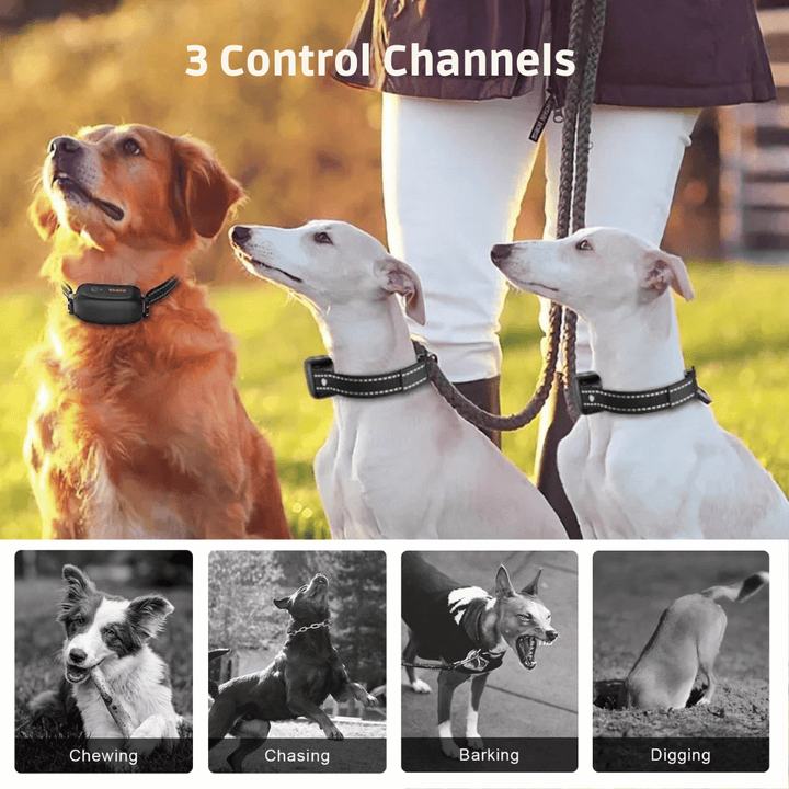 Waterproof rechargeable 1000m dog training e-collar, adjustable fit, black with remote; ideal for effective pet training.