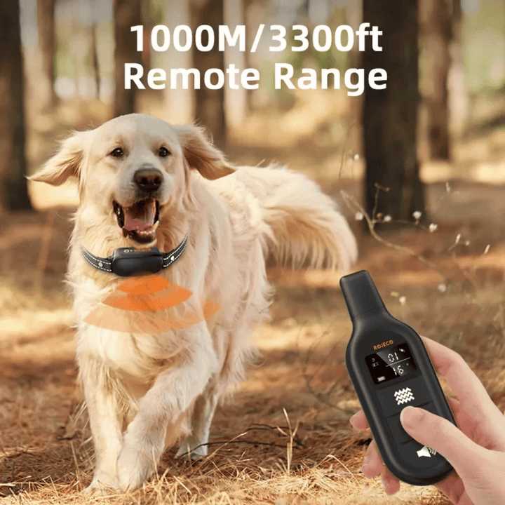Waterproof rechargeable 1000m dog training e-collar, adjustable fit, black with remote; ideal for effective pet training.