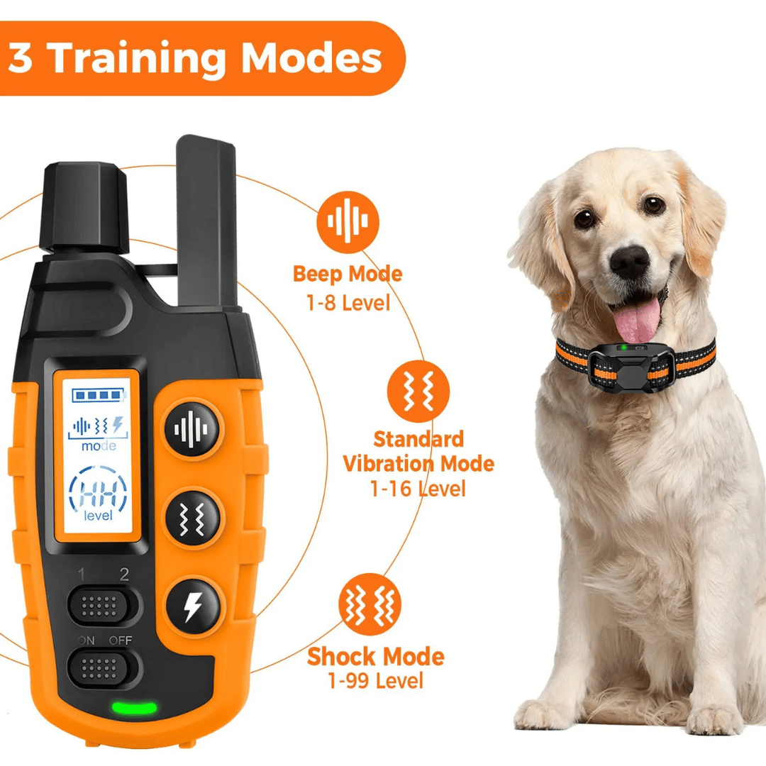 Waterproof rechargeable e-collar for dog training, black strap, remote control, fits all sizes, for outdoor use, pet supplies