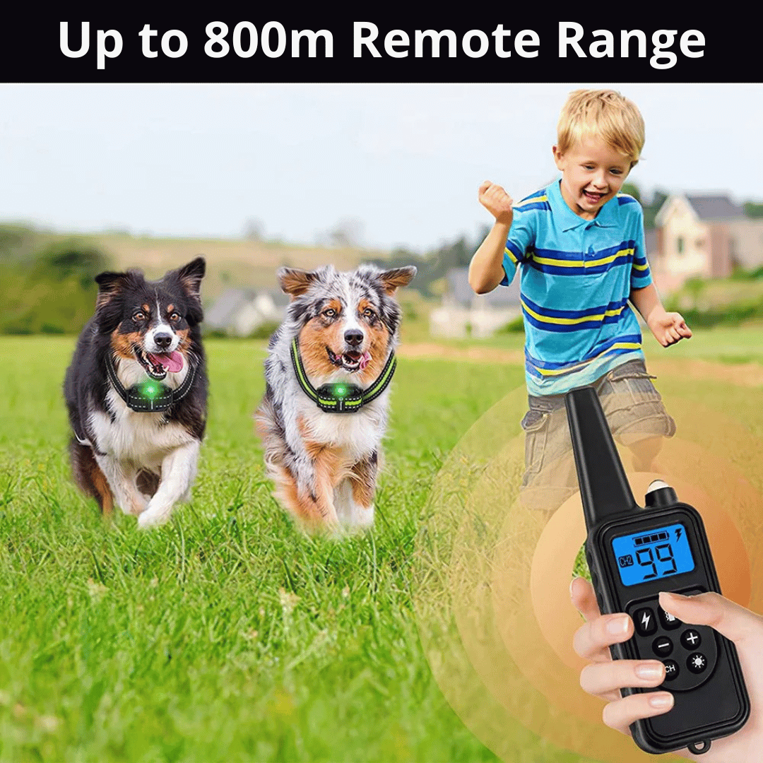 "Waterproof rechargeable remote-controlled dog training collar with adjustable fit and multiple training modes for all dogs."