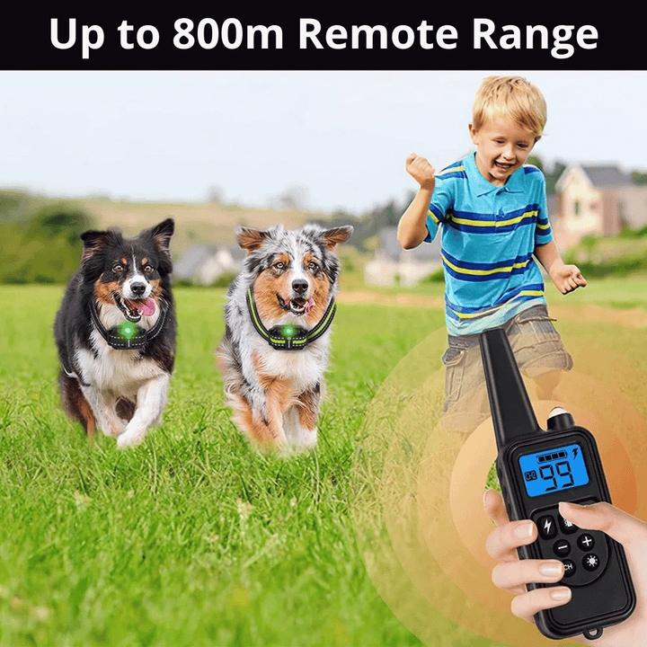 "Waterproof rechargeable remote-controlled dog training collar with adjustable fit and multiple training modes for all dogs."