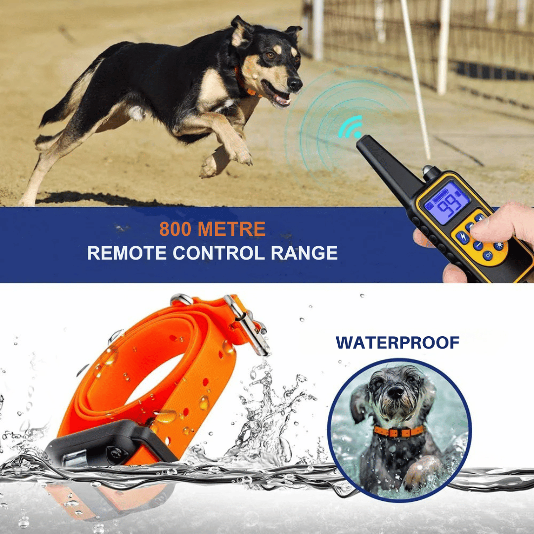 "Waterproof rechargeable remote-controlled dog training collar with adjustable fit and multiple training modes for all dogs."