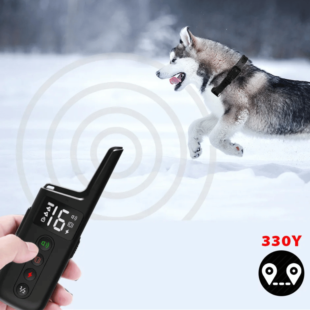 Waterproof shock dog training collar with remote, black adjustable strap, buttons for beep, vibration, safe shock modes.