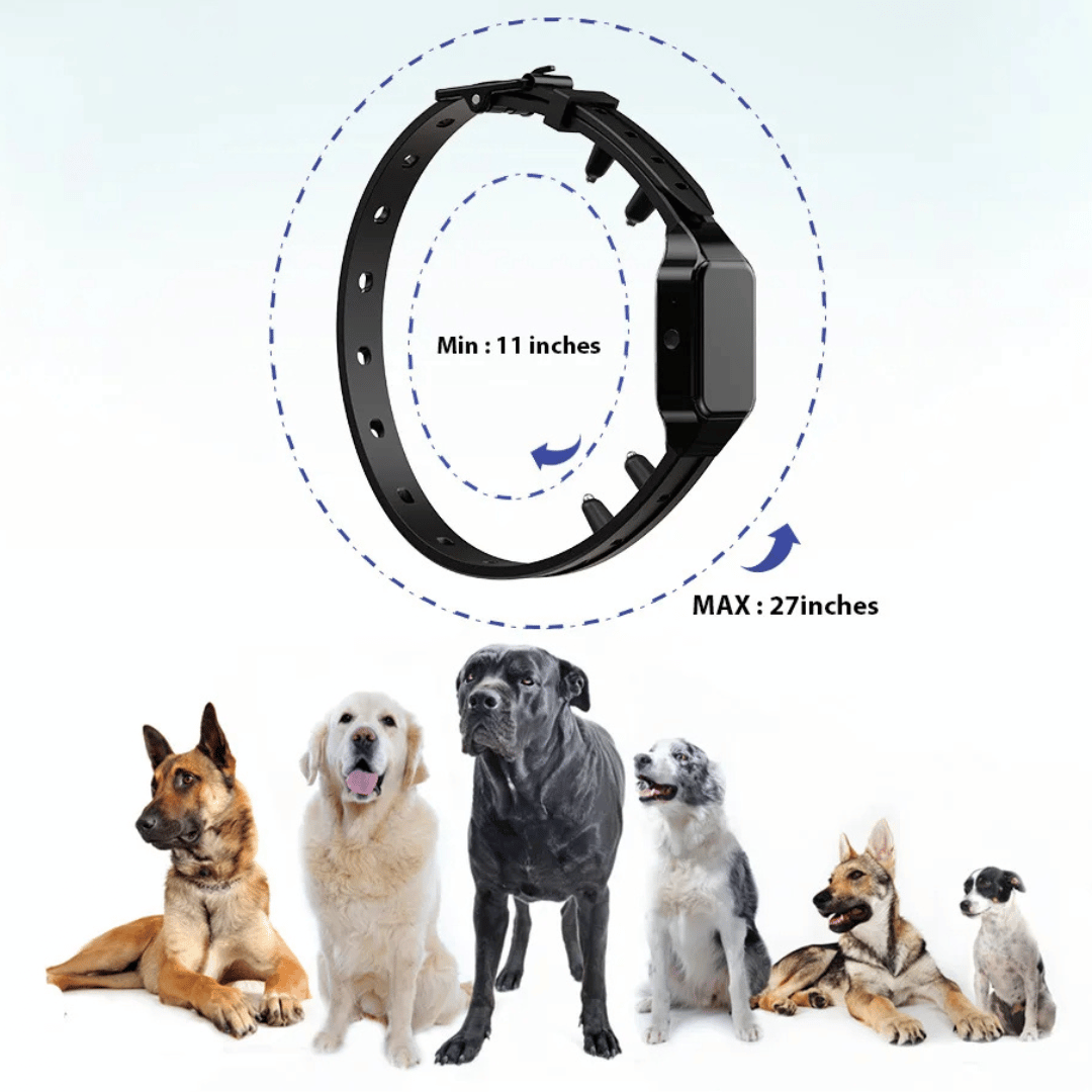 Waterproof shock dog training collar with remote, black adjustable strap, buttons for beep, vibration, safe shock modes.