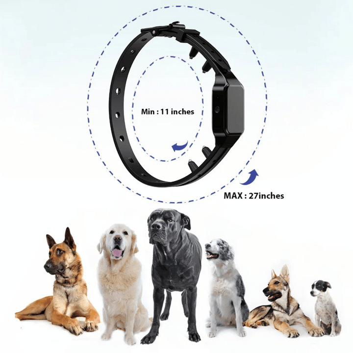 Waterproof shock dog training collar with remote, black adjustable strap, buttons for beep, vibration, safe shock modes.