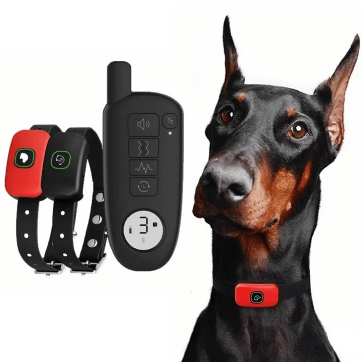 "Waterproof smart dog training collar with remote, 300m range, durable design for effective indoor/outdoor pet training."
