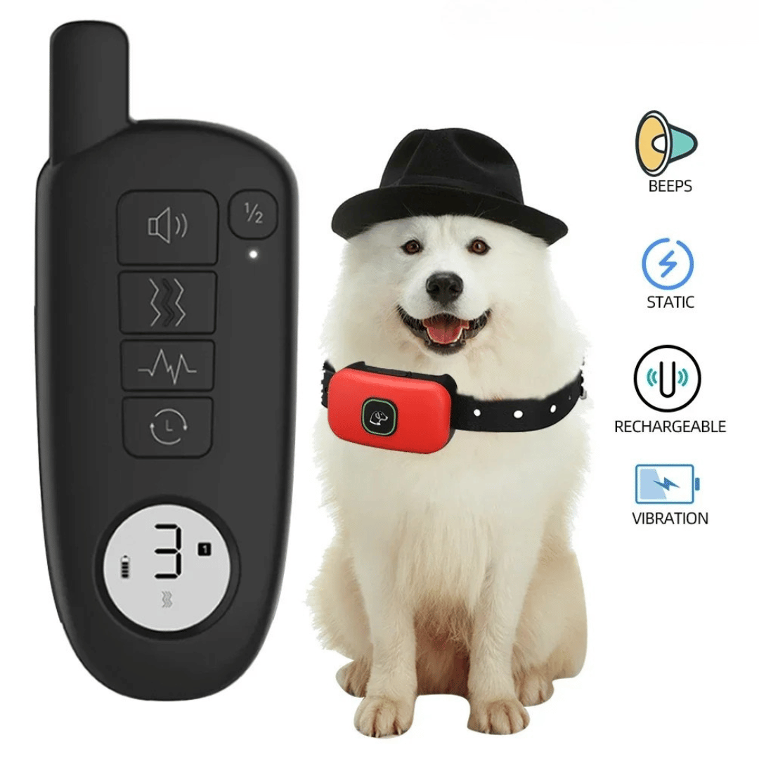 "Waterproof smart dog training collar with remote, 300m range, durable design for effective indoor/outdoor pet training."
