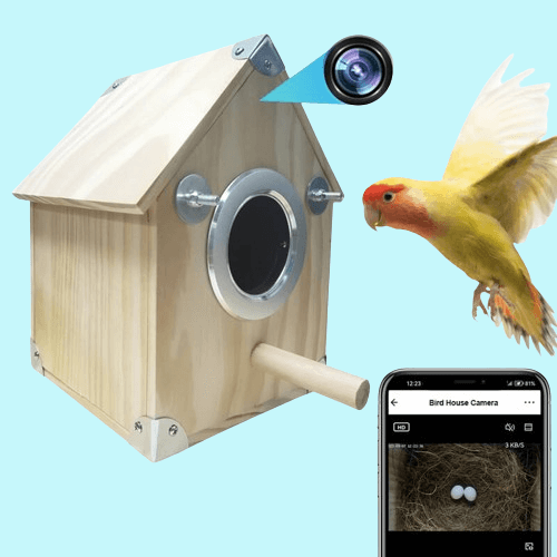 "Wooden bird nesting feeder with camera, weather-resistant, view birds day/night. Perfect for birdwatchers and nature lovers.