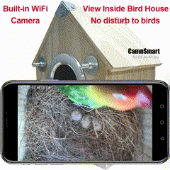 "Wooden bird nesting feeder with camera, weather-resistant, view birds day/night. Perfect for birdwatchers and nature lovers.