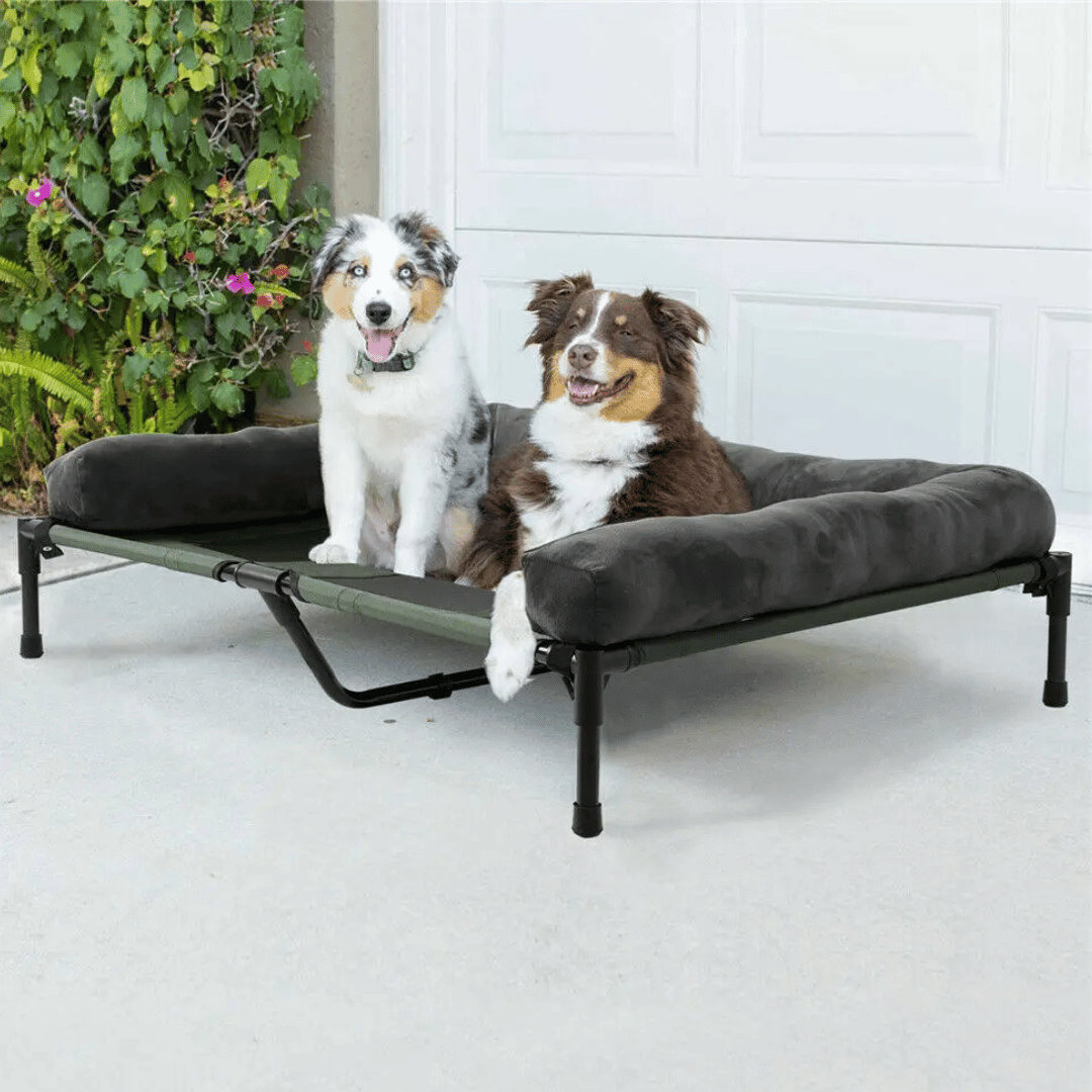 "XL Raised Dog Bolster Bed for Large Dogs, plush edges, elevated design, ideal for indoor/outdoor comfort and support."