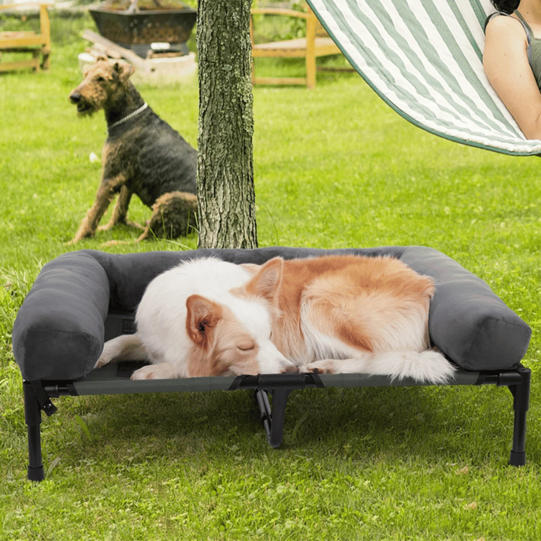 "XL Raised Dog Bolster Bed for Large Dogs, plush edges, elevated design, ideal for indoor/outdoor comfort and support."