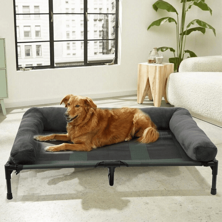 "XL Raised Dog Bolster Bed for Large Dogs, plush edges, elevated design, ideal for indoor/outdoor comfort and support."