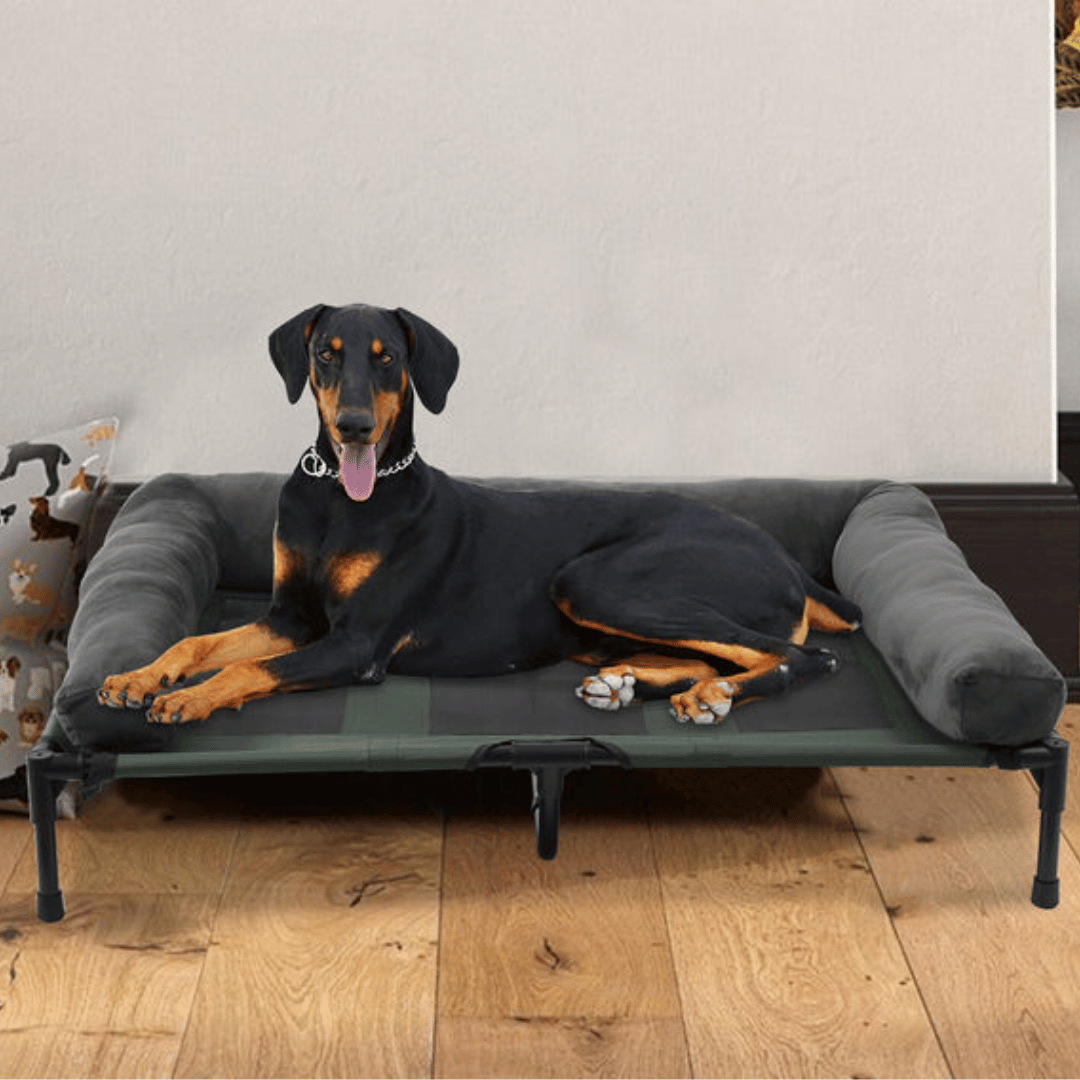"XL Raised Dog Bolster Bed for Large Dogs, plush edges, elevated design, ideal for indoor/outdoor comfort and support."
