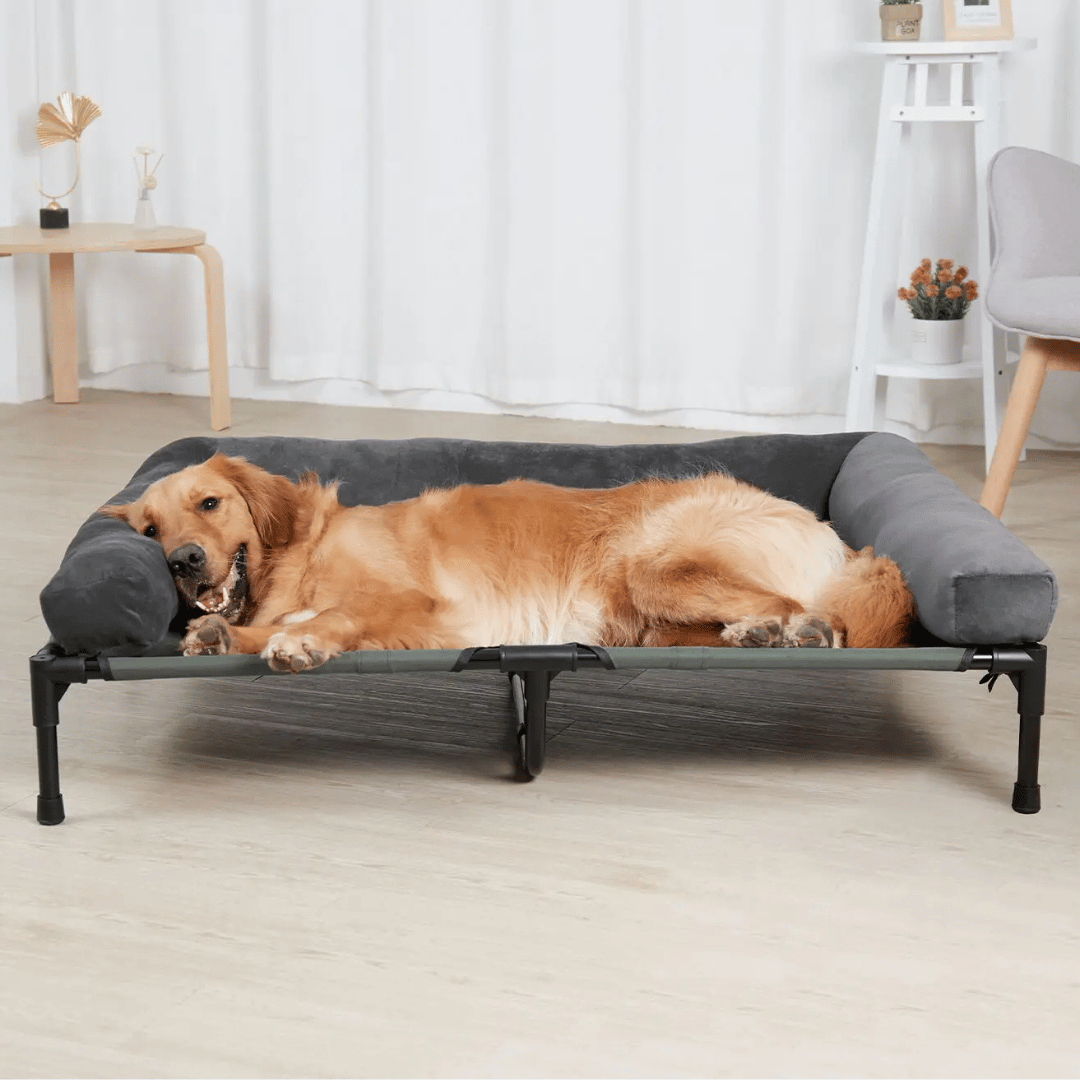 "XL Raised Dog Bolster Bed for Large Dogs, plush edges, elevated design, ideal for indoor/outdoor comfort and support."